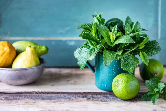 Delicious Mint Recipes Delicious Mint Recipes