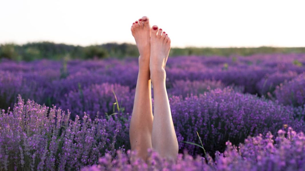 Lavender Recipes For Relaxation