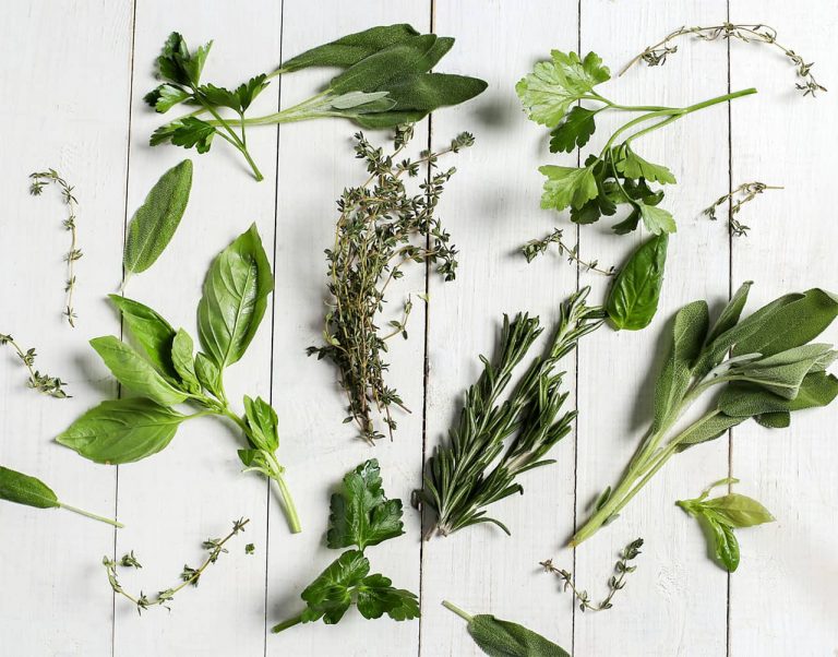 Must-Try Bulgarian Herbs for Flavorful Dishes