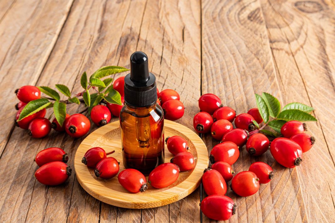 Many Uses of Rosehips