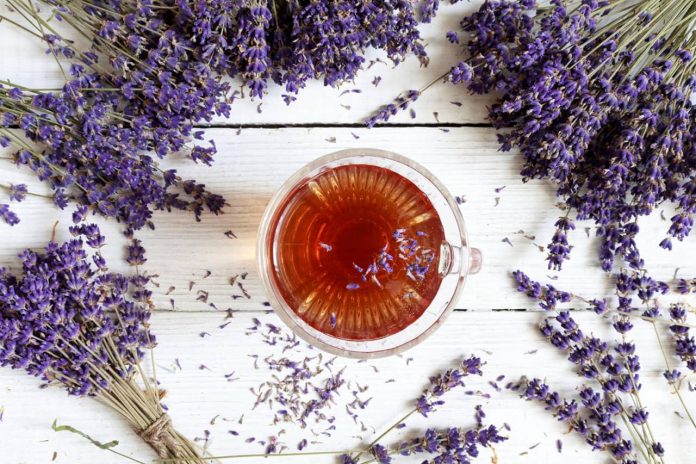 Popular Bulgarian Herbal Teas Popular Bulgarian Herbal Teas