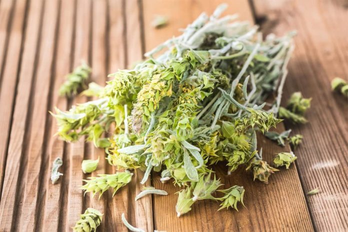 Popular Bulgarian Herbs Popular Bulgarian Herbs