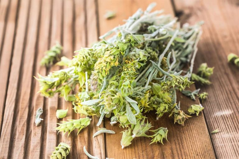 Popular Bulgarian Herbs And Their Health Benefits