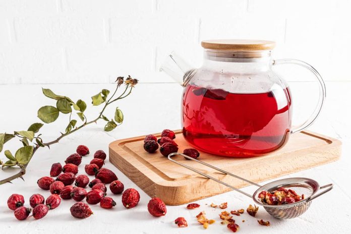 Rosehips increased immunity antiinflammatory effects Your Own Rosehip Bush