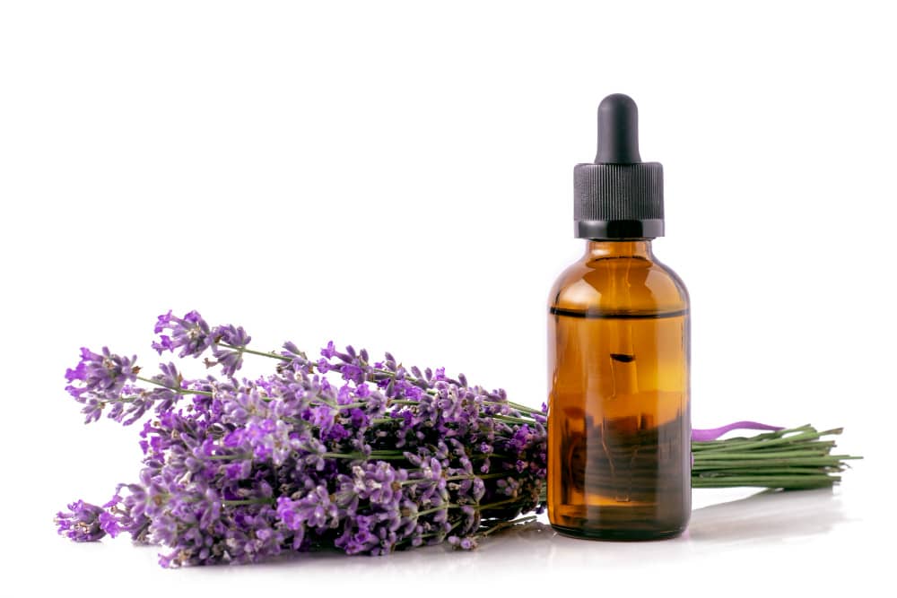 Lavender Oil