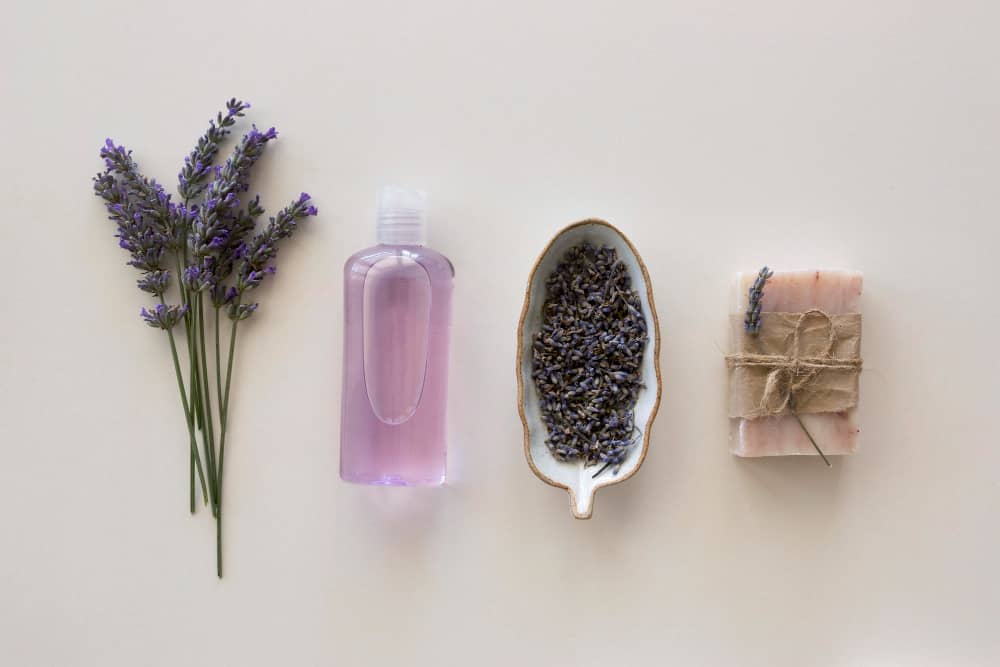 World's Top Organic Lavender Oil Producer