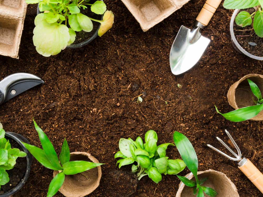 Choosing the Right Soil for gardening