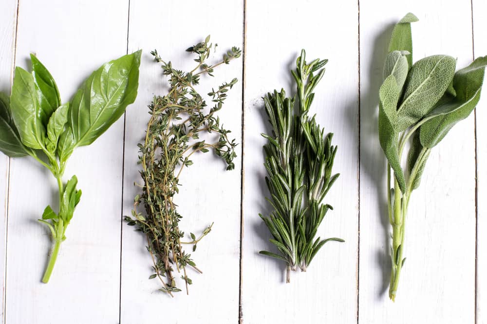 Herbs and Spices to Grow at Home