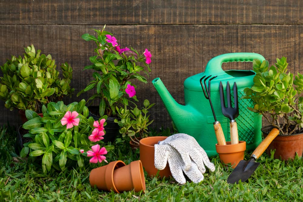 Inspect Your gardening Tools Before Use
