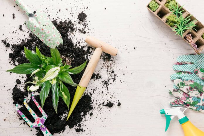 Tips for Maintaining Your Gardening Tools Tips for Maintaining Your Gardening Tools