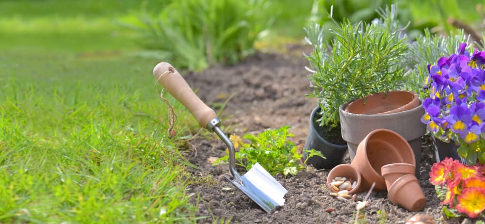 Preparing Your Garden