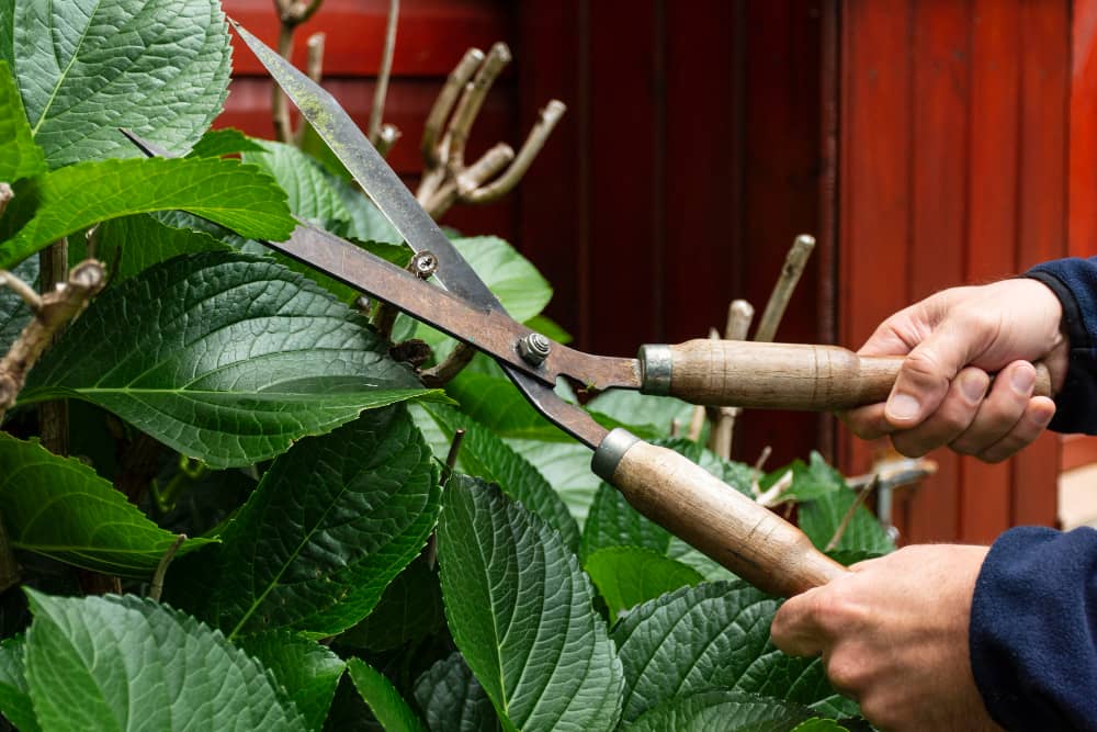 Use the Right garden Tools for the Right Task